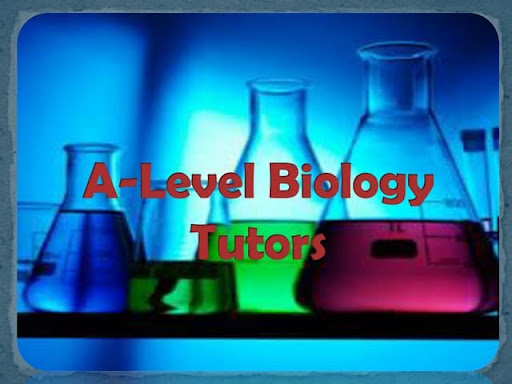 Mastering IB Biology Labs