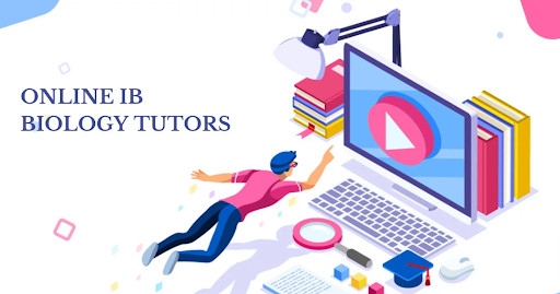 IB Biology Results Remark Process