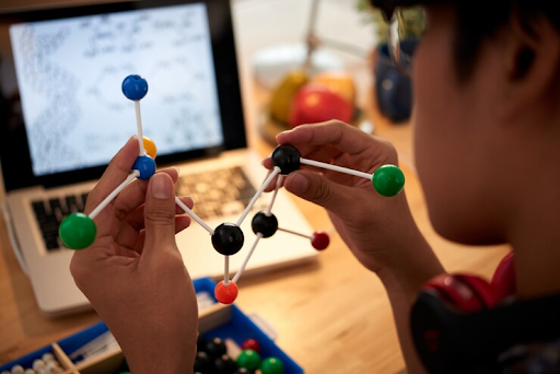 online IB Biology tutor