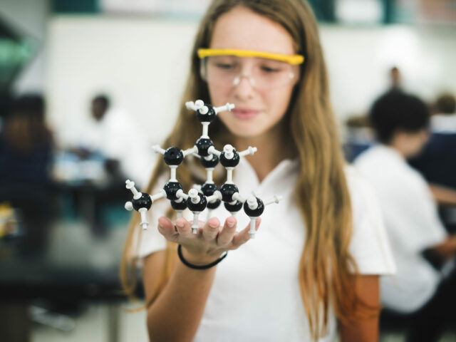 IB chemistry tutor