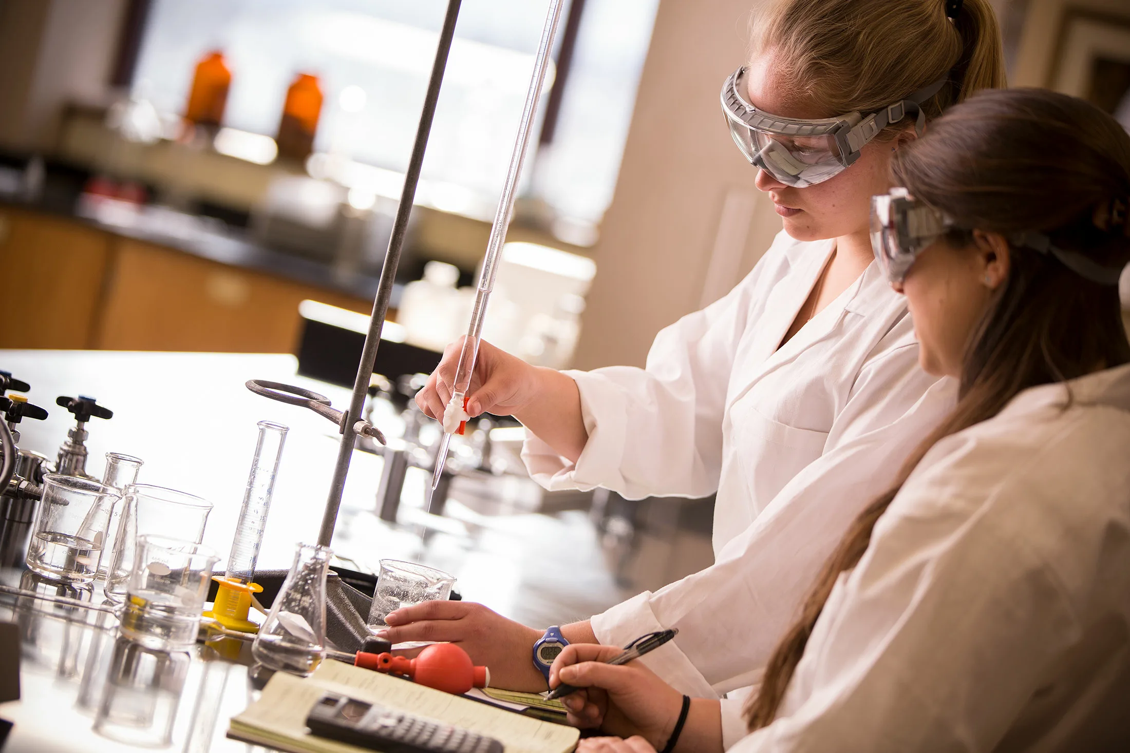 IB Biology Revision Strategy 2025